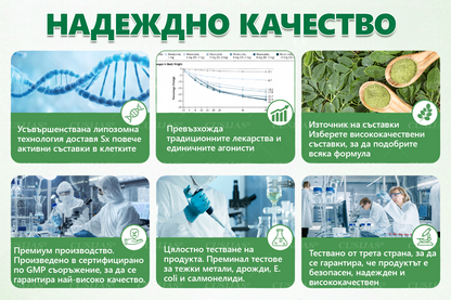 Официален магазин |𝑪𝑼𝑺𝑰𝐉𝐀𝐒® Moringa · Берберин × НАД+ Напреден пластър с нано-микроигли 10 в 1🇧🇬(Само веднъж дневно, видими промени вече след 7 дни)✅ За затлъстяване, влакнеста кожа, диабет, сънна апноя, стопански проблеми и много други🌱